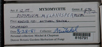 Image Associated With the Occurence